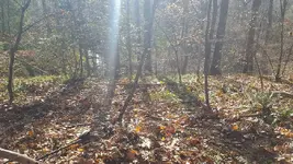 20181206_101252a.webp