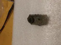 20181229_173713.webp