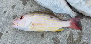 20181229_155311.webp