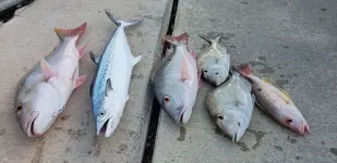 20181229_155301.webp