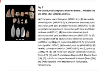 Pre-Clovis Points.webp