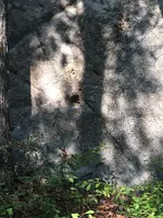 ImageUploadedByTreasureNet.com1551710886.527250.webp