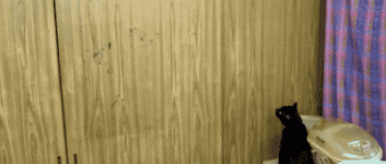 38efdafcbf392a737d5df8e6291636166ae16786203ec8815198b29ed51d8e62.gif