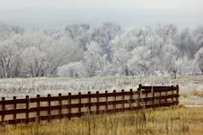 walk 022219 1-2.webp