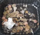20190219_144711.webp