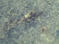 iron deposit 2.webp
