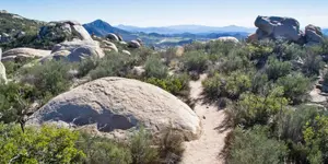 Mystery Rock Local Mountains.webp