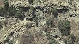 Screenshot_2019-01-27-14-44-02-1.webp