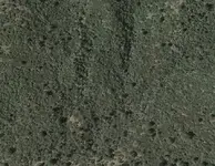 Screenshot_2019-01-27-14-43-04-1.webp