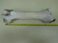 DSCN7728[1].webp