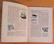 20181230_094230.webp