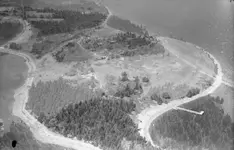 oak-island-1931-pd.webp