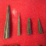 Lee Co. Copper Points 2019 (2).webp