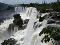 iguazu-waterfalls-in-brazil-argentina.webp