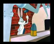 Bugs.webp