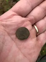 coin.webp