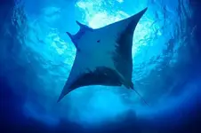 20170628_135212_sized1.webp