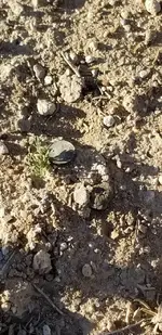 20190127_082557.webp