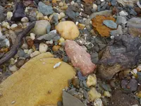20190127_133103.webp