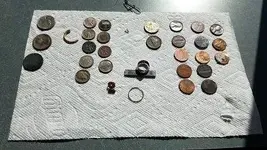 Typical beach finds.webp Typical beach finds.webp