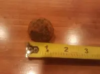 20181230_170950.webp