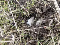 P1074220.webp