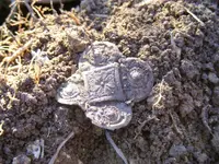 DSCF7800.webp