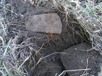DSCF7803.webp
