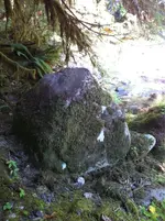 ImageUploadedByTreasureNet.com1547819186.455649.webp