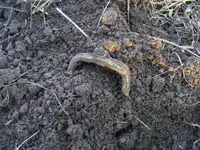 DSCF7807.webp