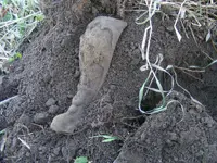 DSCF7811.webp