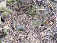 DSCF7812.webp