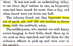 bayonet blurb.webp