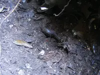 DSCF7827.webp