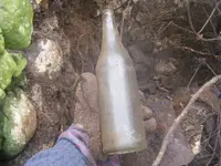 DSCF7831.webp