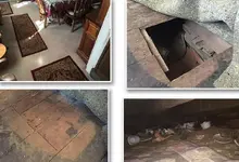 dinig room floor.webp