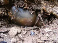 DSCF7849.webp