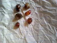 IMG-20190128-WA0018.webp