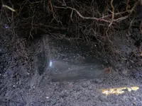 DSCF7886.webp