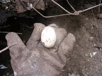 DSCF7915.webp