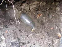 DSCF7942.webp