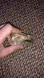 IMG_20170714_182253485.webp