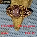 DocBeav 2019 Gold Ring #1.webp DocBeav 2019 Gold Ring #1.webp