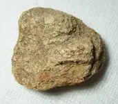100_5526.webp