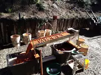 Gbone_sluice1.webp