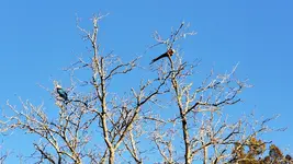 20190213_163439.webp