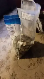 20181230_074644.webp