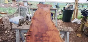 20190223_164936.webp