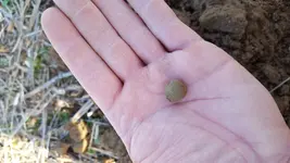 20181229_135749.webp