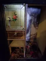 20190303_105627.webp